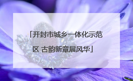 开封市城乡一体化示范区 古韵新章展风华